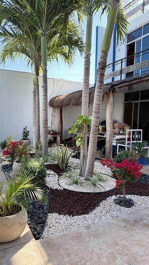Garden view - Hotel Chuburna (Progreso)