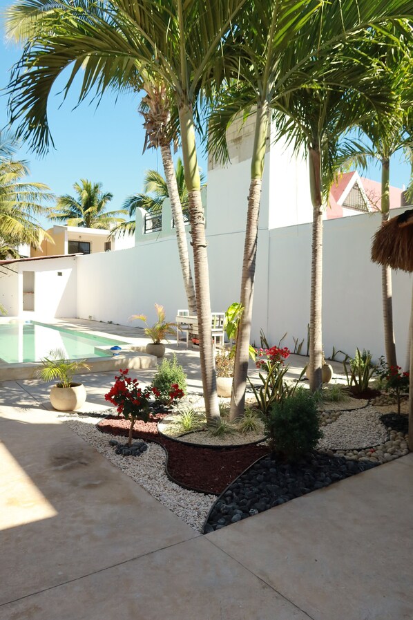 A courtyard with a swimming pool, palm trees, and a small garden area with red flowers and various plants. - Hotel Chuburna (Progreso)