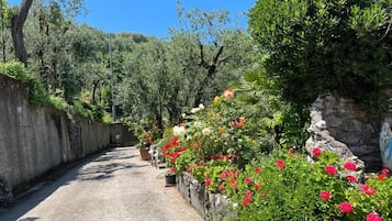 Ingresso della struttura