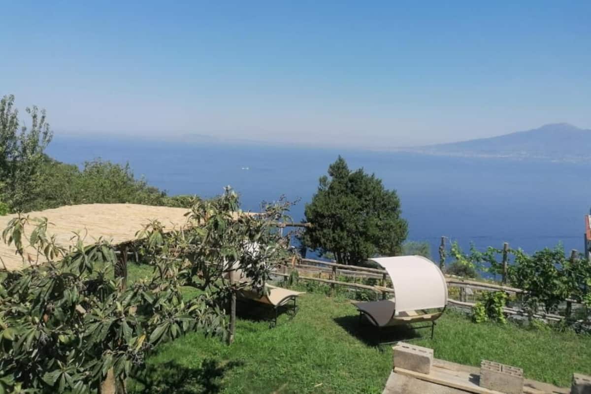 ウォーター ビュー