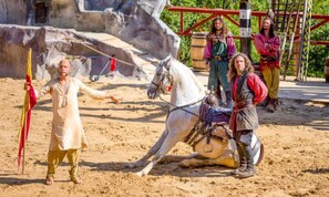 Miscellaneous - Villa in Dordogne With Pool and Terrace (Lanzac)