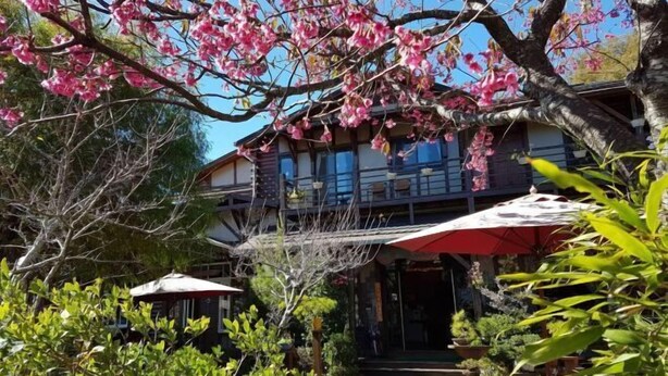 Un edificio tradicional japonés de dos pisos, con área de asientos al aire libre y sombrillas, y un jardín con árboles florecientes.