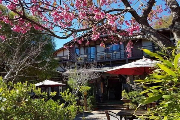 Garden - Shiwai Taoyuan B&B (Nantou)