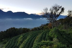 View from property - Shiwai Taoyuan B&B (Nantou)