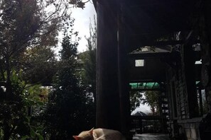 Exterior - Shiwai Taoyuan B&B (Nantou)