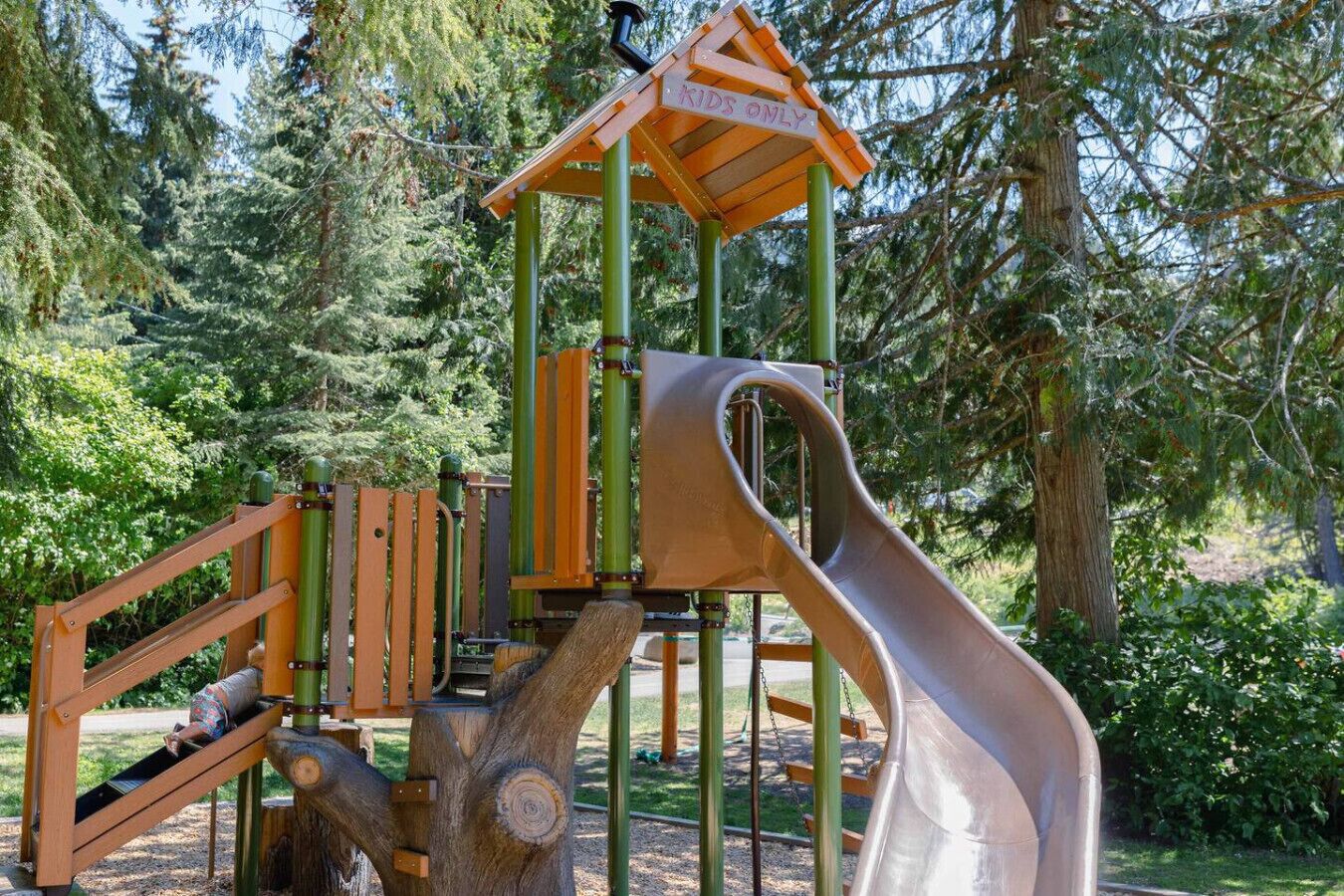 Children’s area