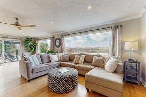 تلفزيون، مشغل دي في دي، مكتبة فيديو