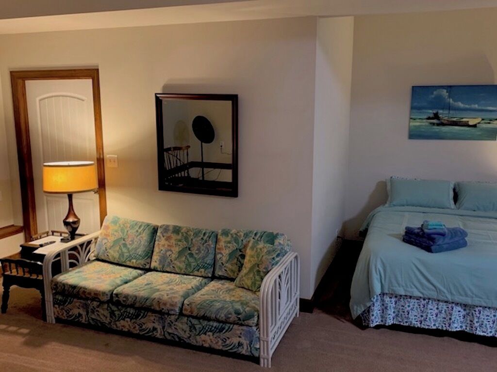 A room with a patterned sofa, a bed with a blue bedspread, a lamp, and a framed picture on the wall.