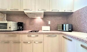 Apartment | Private kitchen - Apartment in Provence Near Thermal Baths (Gréoux-les-Bains)