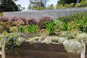 Property grounds - Lavender House in Katoomba (Blue Mountains)