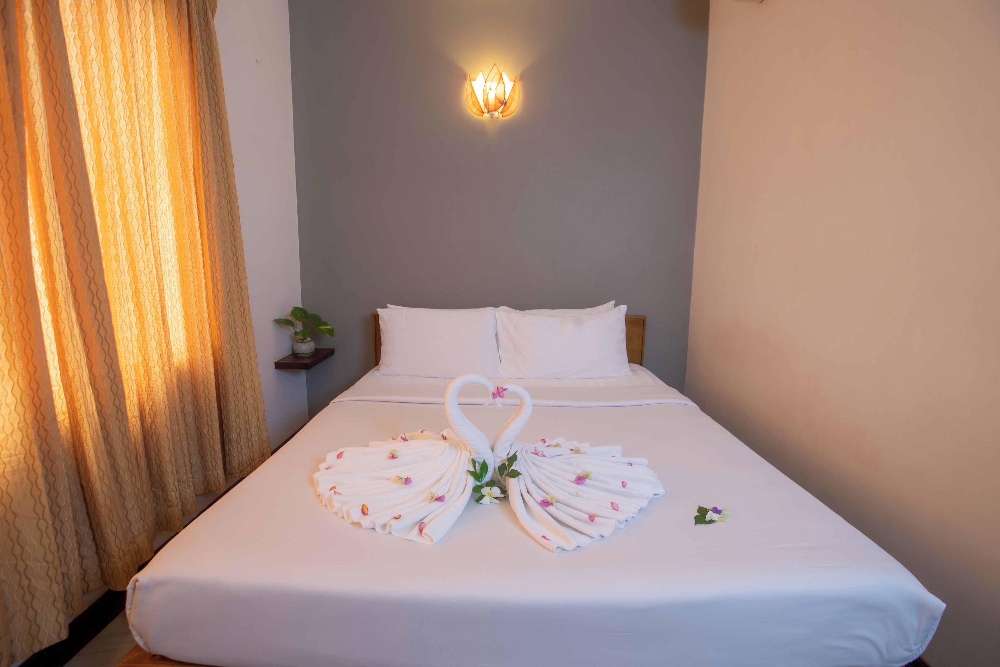 Habitación individual superior | Wifi gratis 