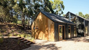 Une cabane en bois moderne, dotée d’une grande fenêtre et d’un toit en métal, entourée d’arbres.