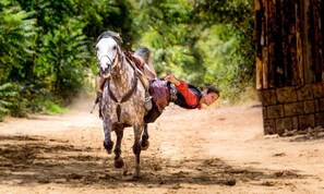 Miscellaneous - Villa With Pool in Quiet French Retreat (Lanzac)