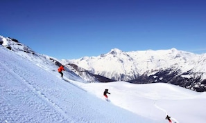 Sukan salji dan ski