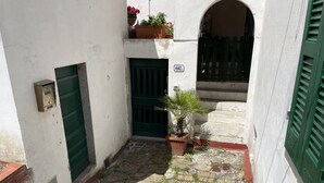Une petite cour étroite, avec un sol en pierre, une porte verte et un pot de fleurs.