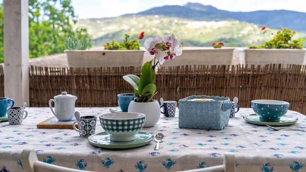 Une table dressée avec différentes tasses à thé, des bols et une orchidée en pot, avec une vue sur les montagnes en arrière-plan.