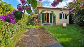 Une maison avec un chemin de pierre menant à une porte verte, entourée d’une végétation luxuriante et de fleurs violettes.