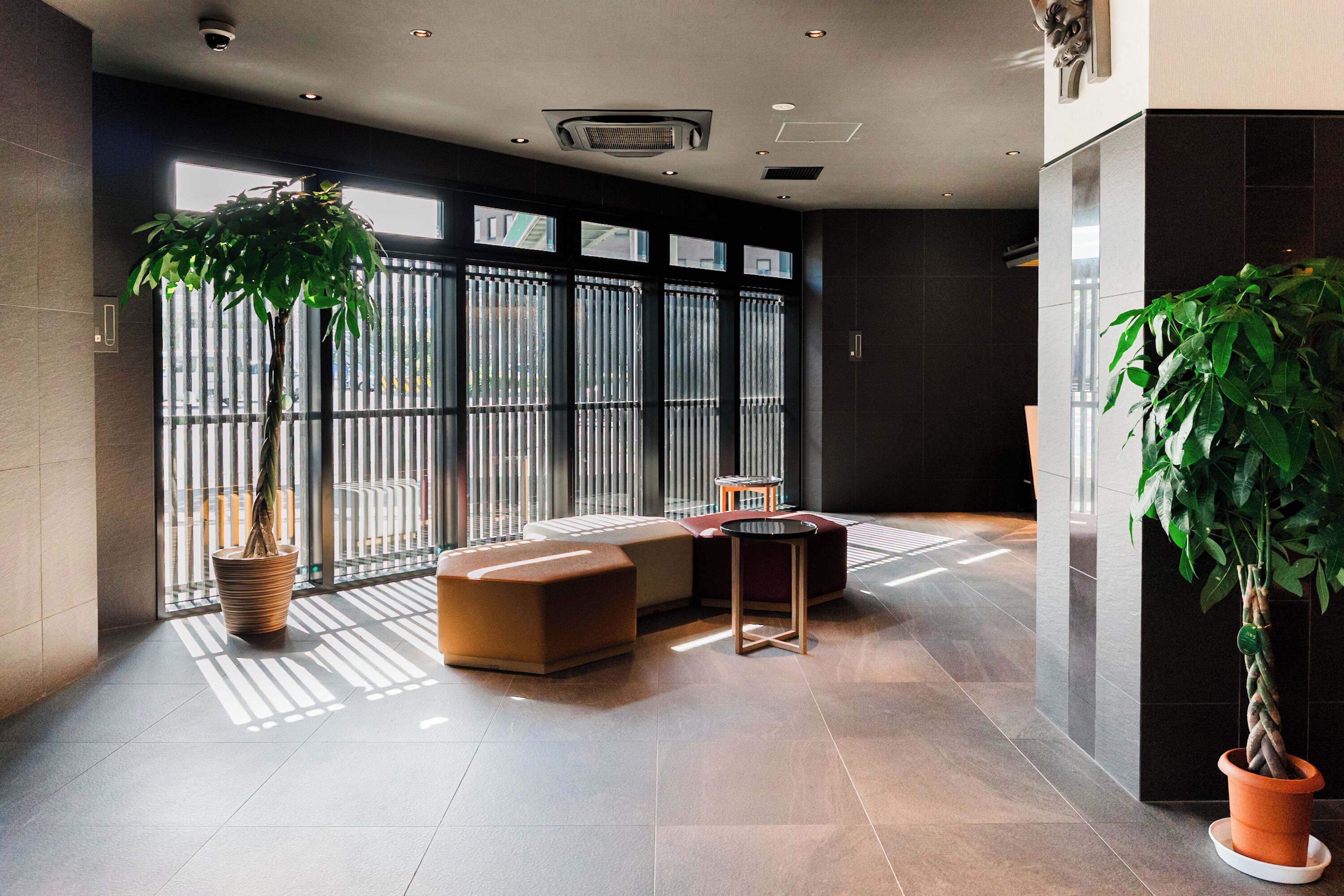 منطقة الاستقبال