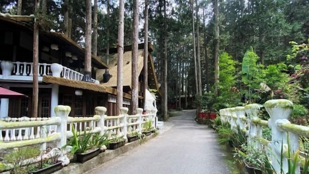 A pathway flanked by white railings and potted plants, leading through a forested area with tall trees. - The M Village (Nantou)