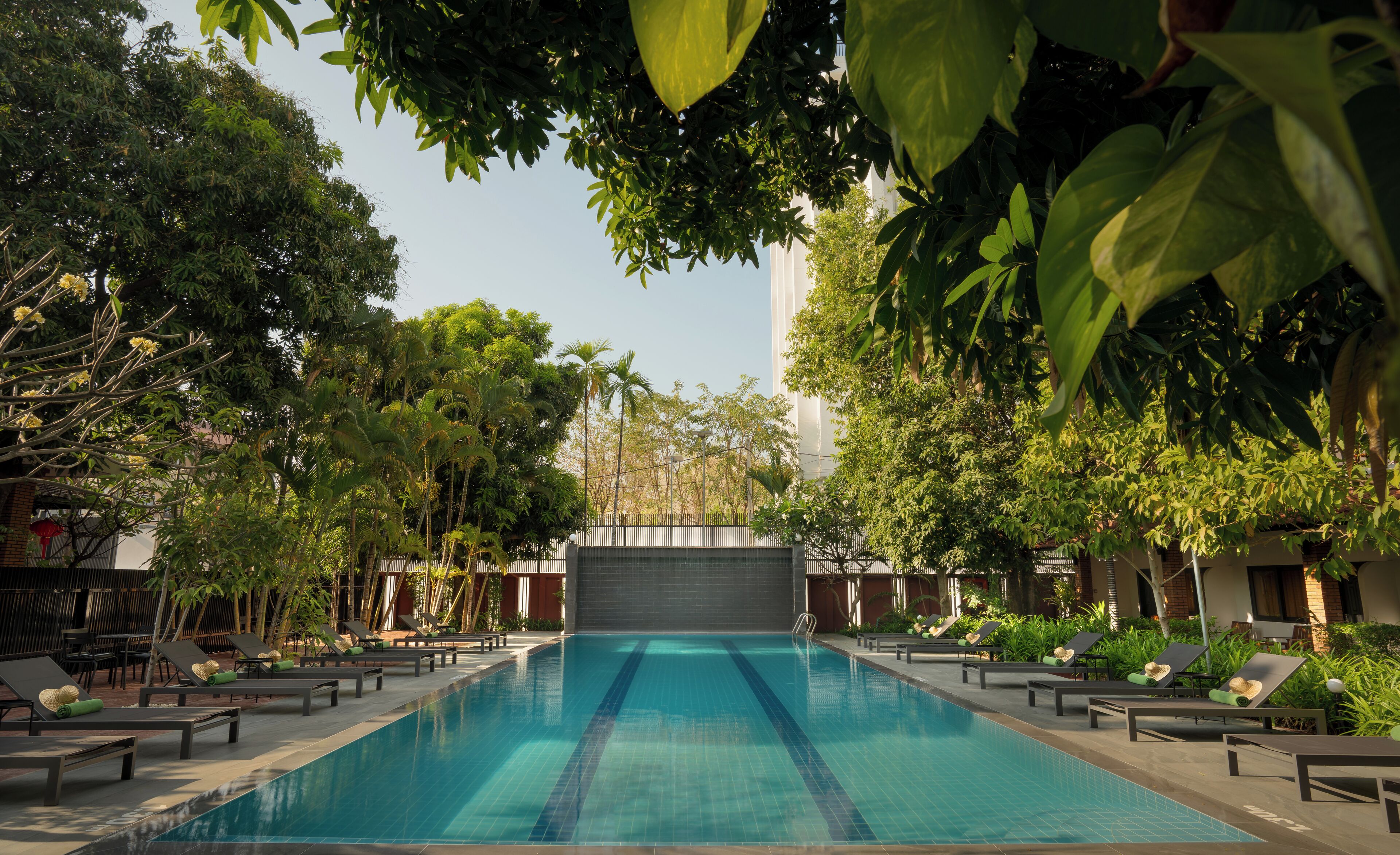 Una piscina con sillas de descanso y palmeras.