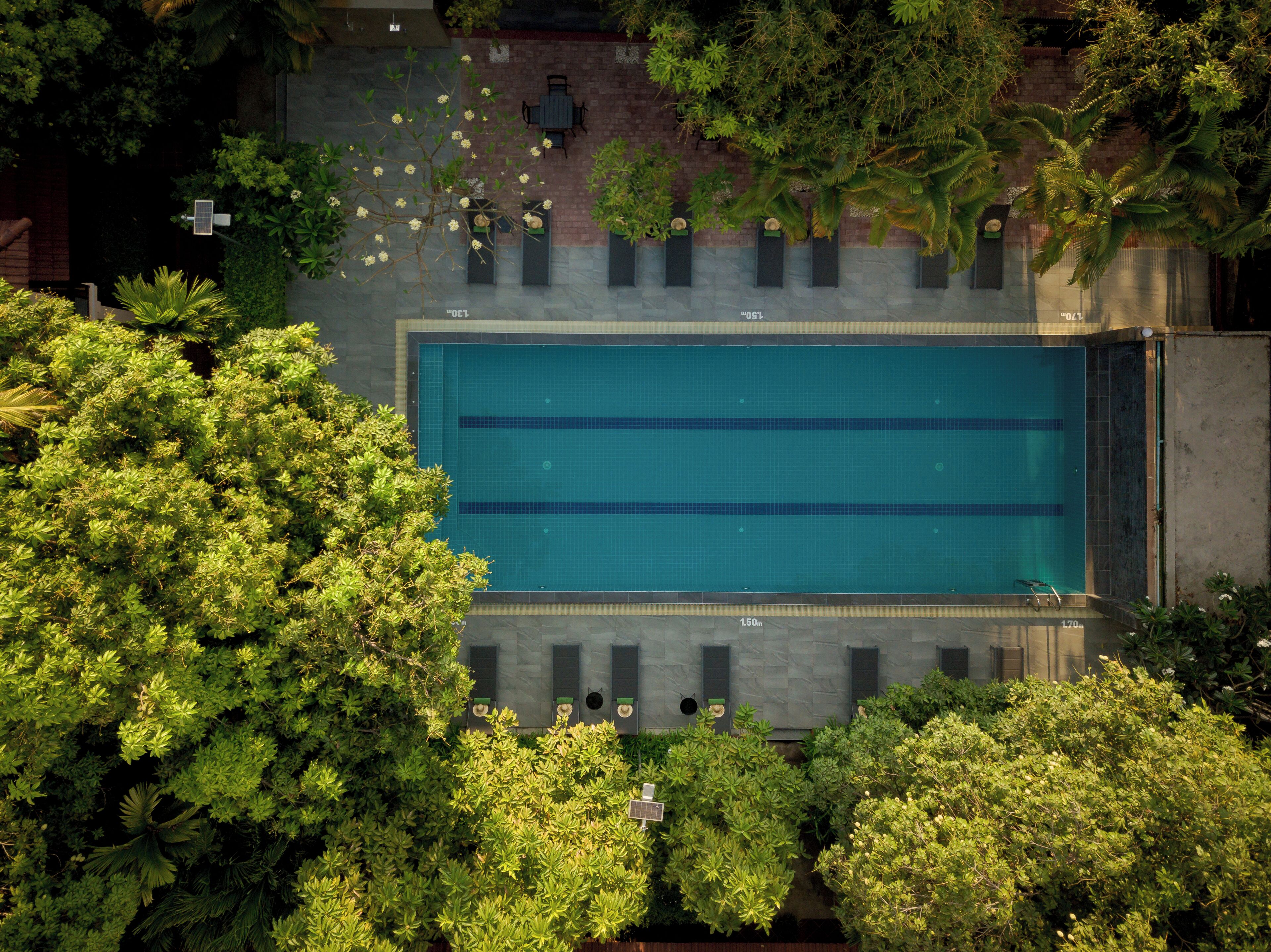 Vista aérea de una piscina rodeada de exuberante vegetación, con un muro de ladrillo y una mesa con sillas cerca.