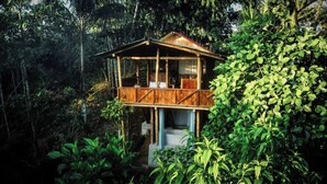Loft, 1 Bedroom, Accessible, Balcony | Exterior - Toucan Lodge Amazon Rainforest Retreat (Tarqui)