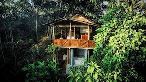 Loft, 1 Bedroom, Accessible, Balcony | Exterior - Toucan Lodge Amazon Rainforest Retreat (Tarqui)