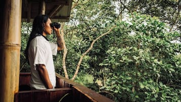 Loft, 1 Bedroom, Accessible, Balcony | Property grounds