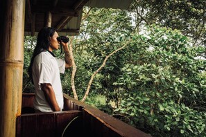 Loft, 1 Bedroom, Accessible, Balcony | Property grounds