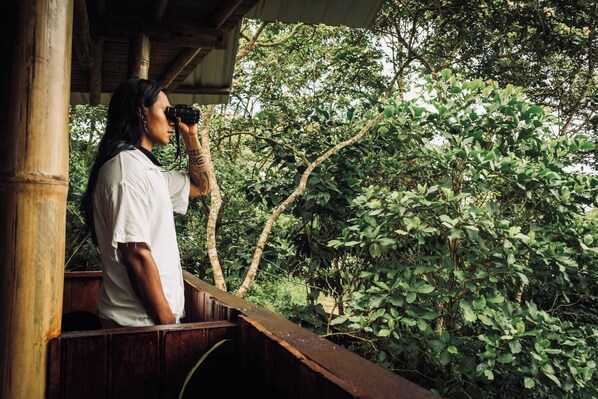 Loft, 1 Schlafzimmer, barrierefrei, Balkon | Unterkunftsgelände