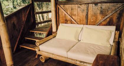 Toucan Lodge Amazon Rainforest Retreat