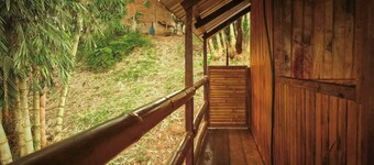 Toucan Lodge Amazon Rainforest Retreat