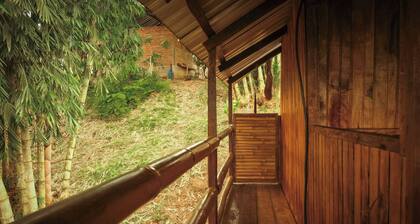 Toucan Lodge Amazon Rainforest Retreat