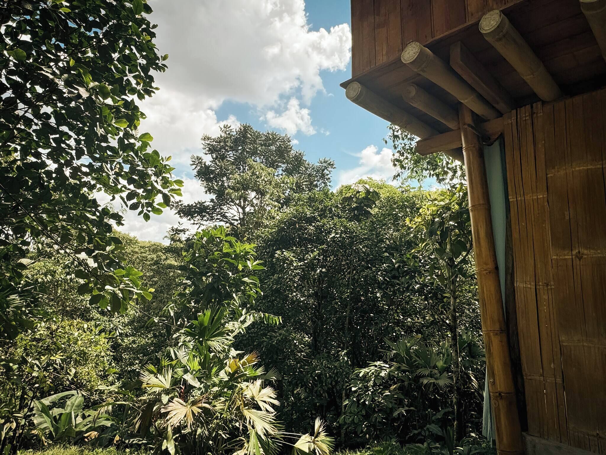 Loft, 1 Bedroom, Accessible, Balcony | Property grounds