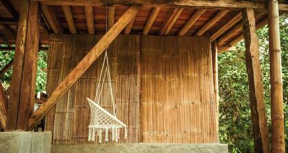 Toucan Lodge Amazon Rainforest Retreat