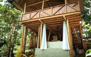 Property grounds - Toucan Lodge Amazon Rainforest Retreat (Tarqui)