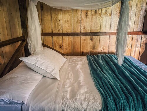 Toucan Lodge Amazon Rainforest Retreat