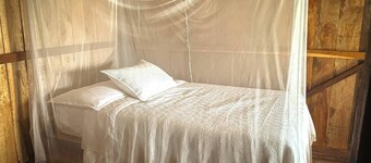 Toucan Lodge Amazon Rainforest Retreat