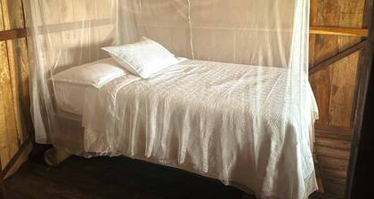 Toucan Lodge Amazon Rainforest Retreat