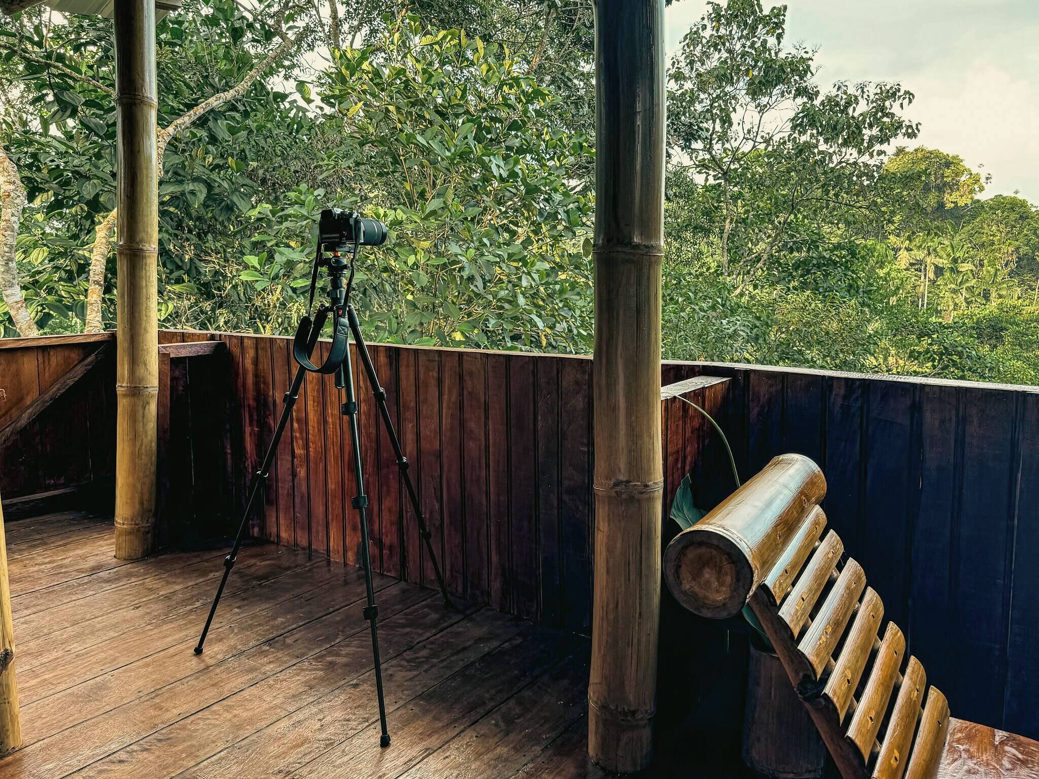 Loft, 1 chambre, accessible aux personnes à mobilité réduite, balcon | Enceinte de l’hébergement
