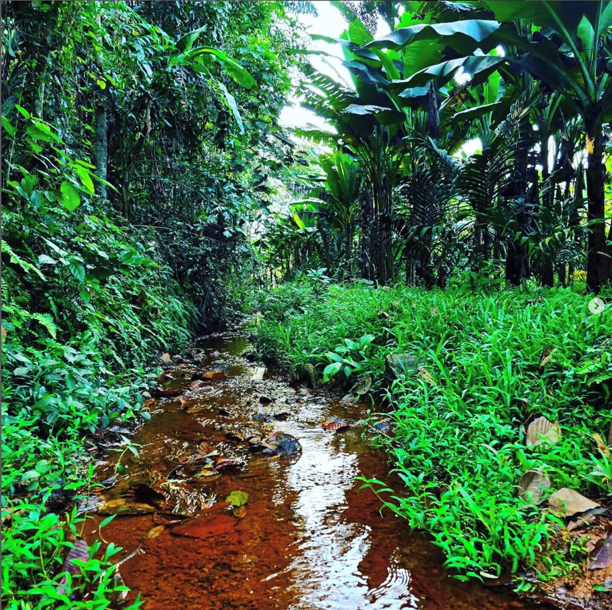 House, 2 Bedrooms, Smoking, Private Pool | Property grounds