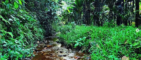 Casa, 2 habitaciones, para fumadores, alberca privada | Áreas de la propiedad