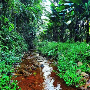 ハウス 2 ベッドルーム 喫煙可 プライベートプール | 施設の敷地