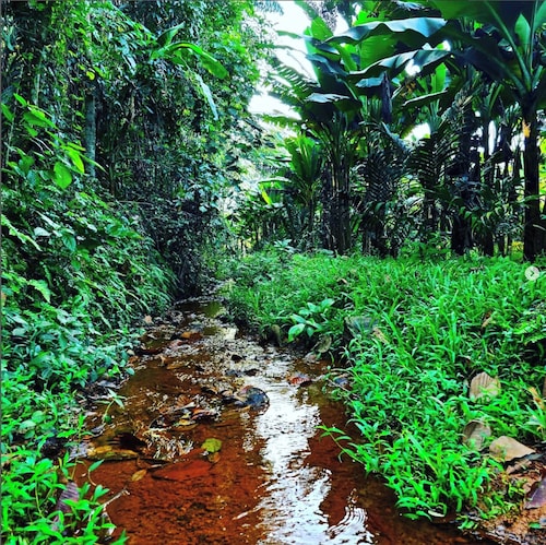 Acrewood Farmhouse - Pool Villa