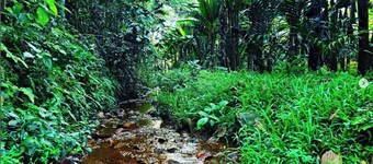 Acrewood Farmhouse - Pool Villa