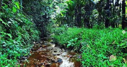 Acrewood Farmhouse - Pool Villa