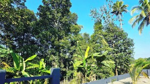 A pathway leading through a garden with various trees and a small palm tree. - Acrewood Farmhouse - Pool Villa (Muvattupuzha)