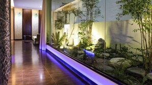 A hallway with a glass wall displaying a rock garden and plants. - ALL-UR Boutique Motel Hua-Lian Branch (Hualien)