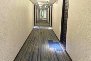 Un long couloir étroit aux murs décorés de motifs et au sol recouvert d’une moquette, qui mène à une porte au fond.
