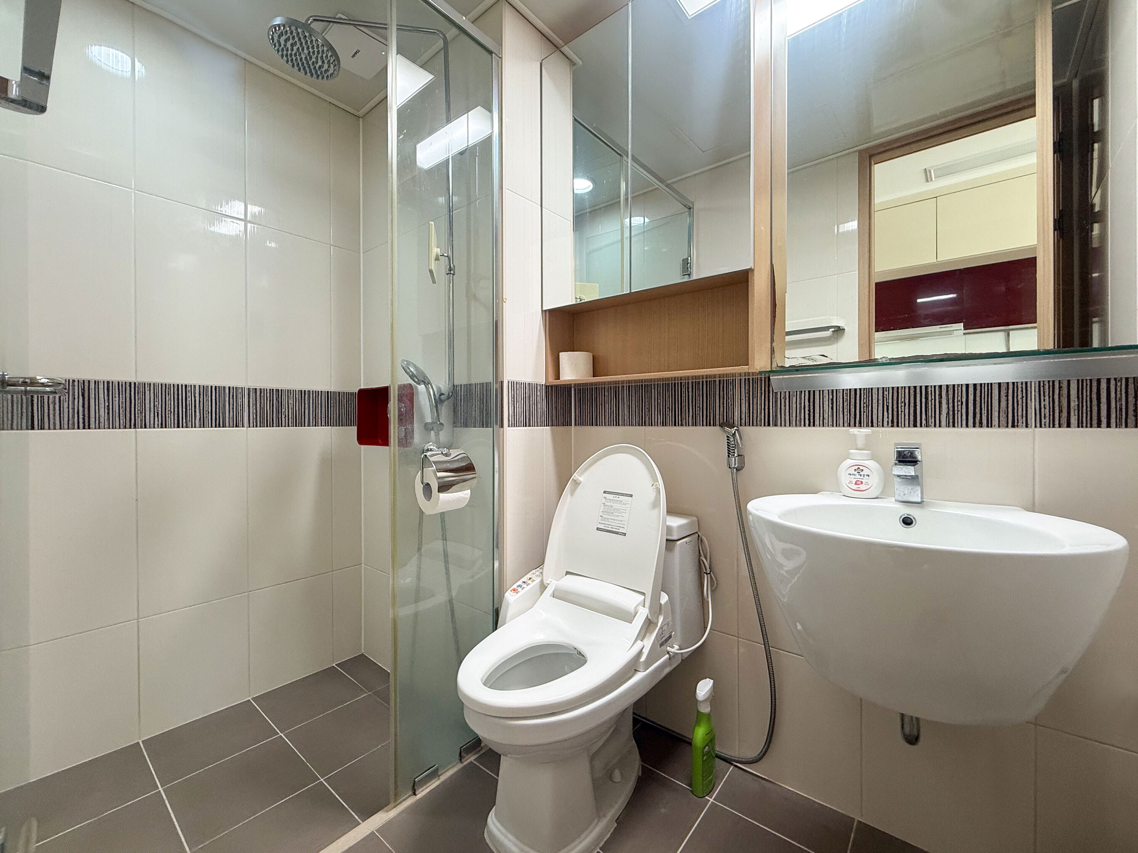 Shower, hair dryer, soap, toilet paper